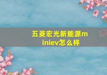 五菱宏光新能源miniev怎么样