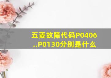 五菱故障代码P0406..P0130分别是什么