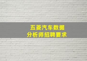 五菱汽车数据分析师招聘要求