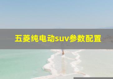 五菱纯电动suv参数配置