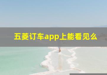 五菱订车app上能看见么