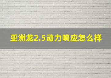 亚洲龙2.5动力响应怎么样