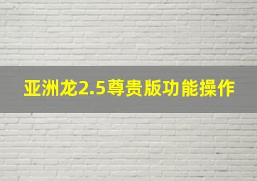 亚洲龙2.5尊贵版功能操作