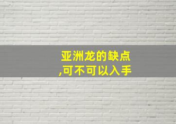 亚洲龙的缺点,可不可以入手