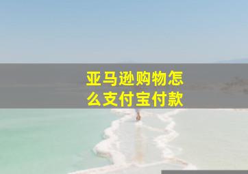 亚马逊购物怎么支付宝付款