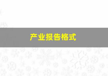 产业报告格式