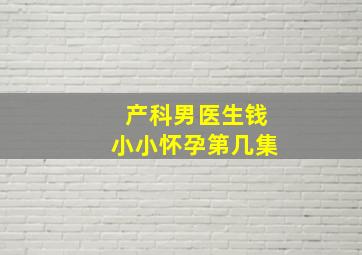 产科男医生钱小小怀孕第几集