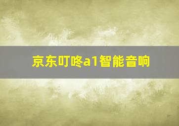 京东叮咚a1智能音响