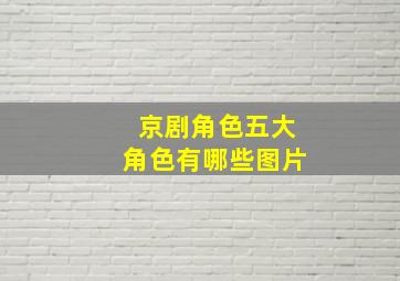 京剧角色五大角色有哪些图片