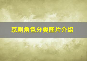 京剧角色分类图片介绍