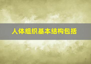 人体组织基本结构包括