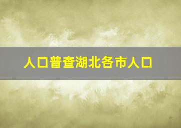 人口普查湖北各市人口