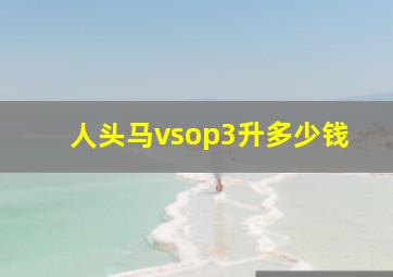 人头马vsop3升多少钱