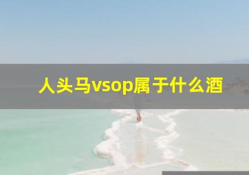 人头马vsop属于什么酒