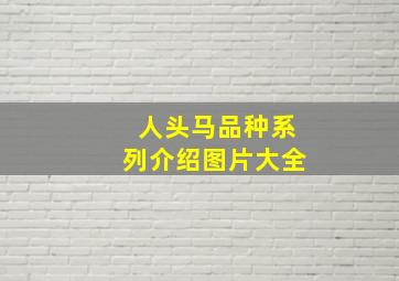 人头马品种系列介绍图片大全