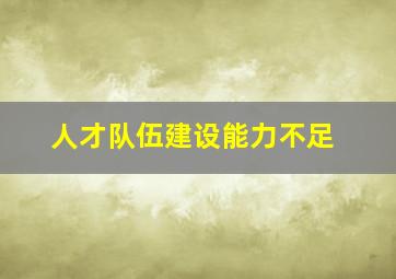 人才队伍建设能力不足