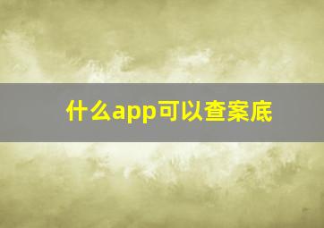 什么app可以查案底