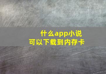 什么app小说可以下载到内存卡