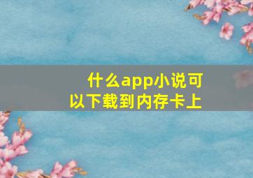 什么app小说可以下载到内存卡上