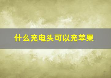 什么充电头可以充苹果