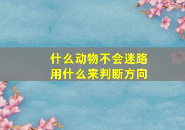 什么动物不会迷路用什么来判断方向