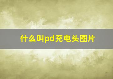 什么叫pd充电头图片