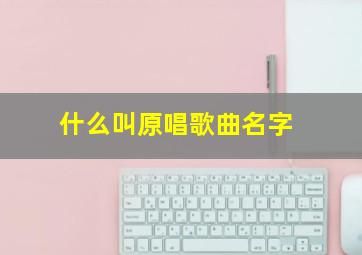 什么叫原唱歌曲名字