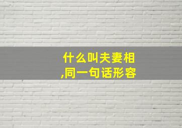 什么叫夫妻相,同一句话形容