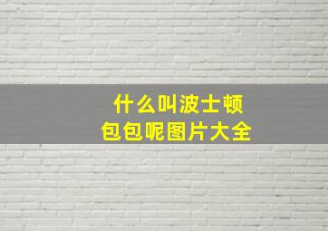 什么叫波士顿包包呢图片大全