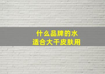 什么品牌的水适合大干皮肤用