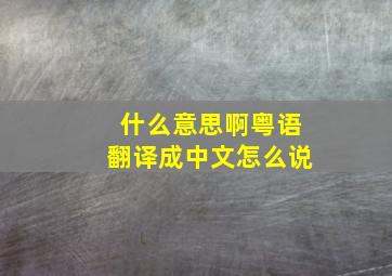 什么意思啊粤语翻译成中文怎么说