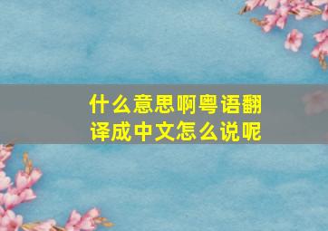 什么意思啊粤语翻译成中文怎么说呢