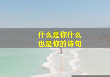 什么是你什么也是你的诗句