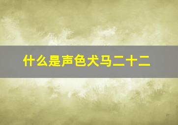 什么是声色犬马二十二