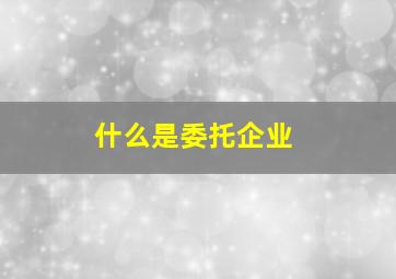 什么是委托企业