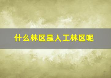 什么林区是人工林区呢