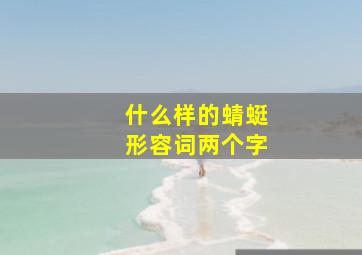 什么样的蜻蜓形容词两个字