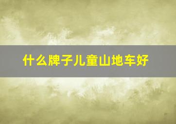 什么牌子儿童山地车好