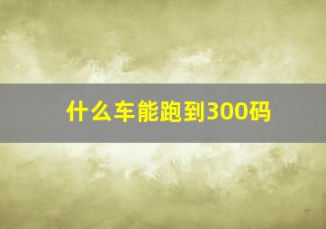 什么车能跑到300码