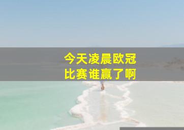 今天凌晨欧冠比赛谁赢了啊