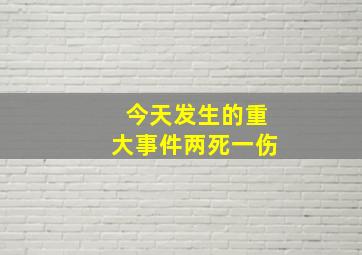 今天发生的重大事件两死一伤