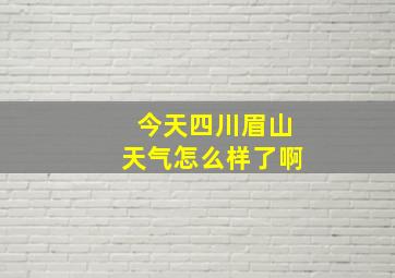 今天四川眉山天气怎么样了啊