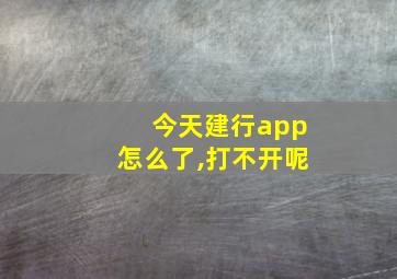 今天建行app怎么了,打不开呢