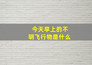 今天早上的不明飞行物是什么