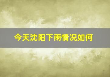 今天沈阳下雨情况如何