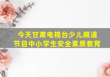 今天甘肃电视台少儿频道节目中小学生安全素质教育