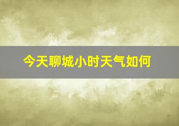 今天聊城小时天气如何