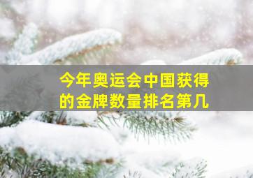 今年奥运会中国获得的金牌数量排名第几