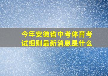 今年安徽省中考体育考试细则最新消息是什么