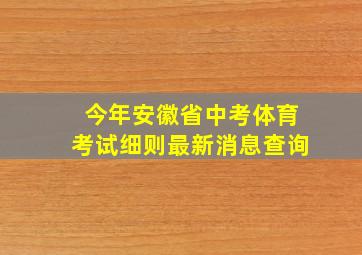 今年安徽省中考体育考试细则最新消息查询